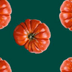 POMODORO