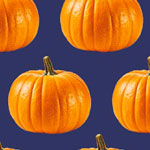 ZUCCA