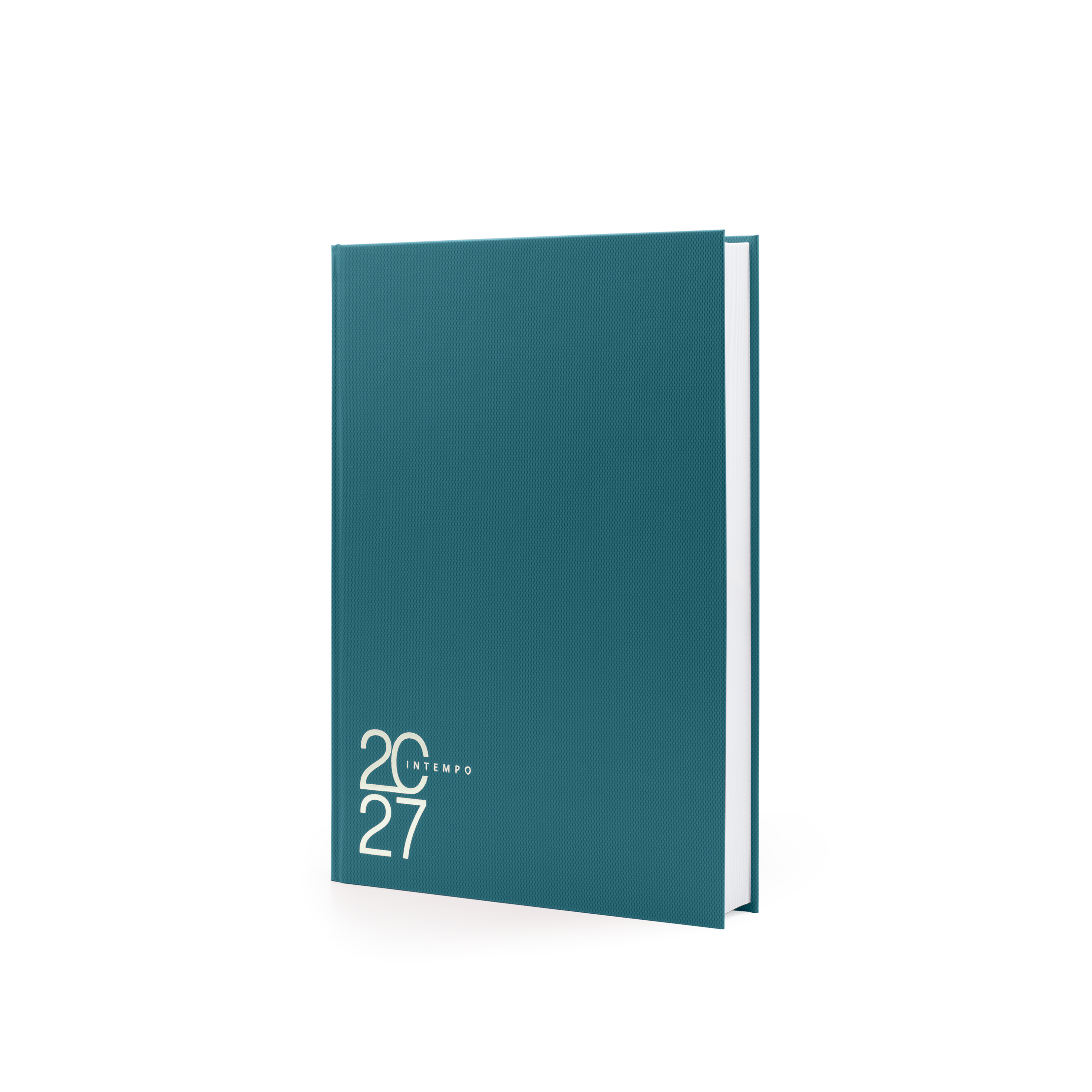Agenda Giornaliera Mega 21X30 Text