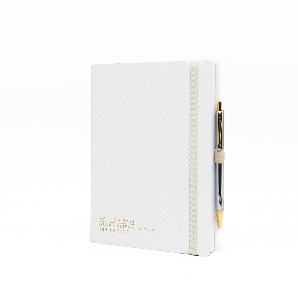 Daily Diary 12X17 Chic with Elastic Closure and Pen