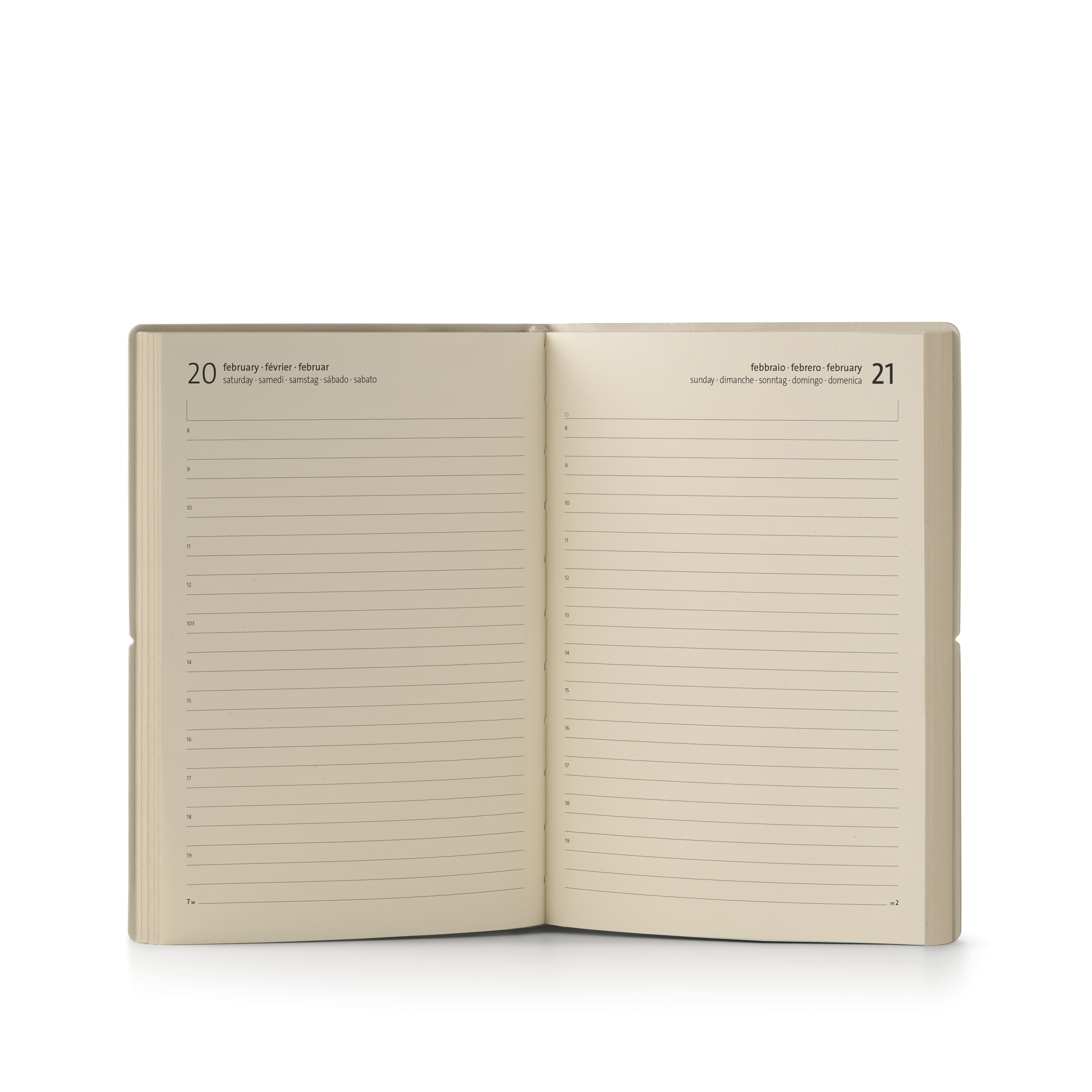 2027 Daily Diary - Ciak Classic