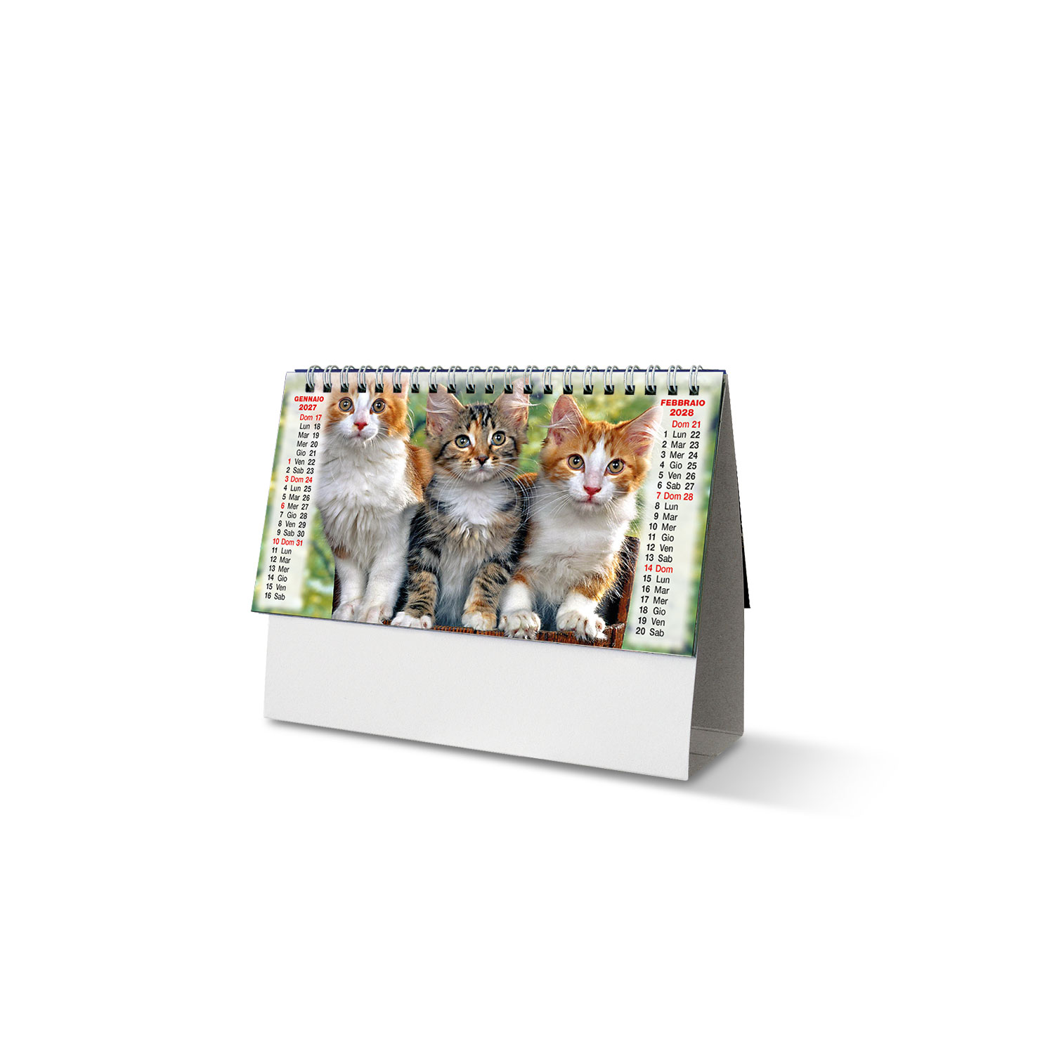 Calendario Da Tavolo 21X14 Linea Illustrati