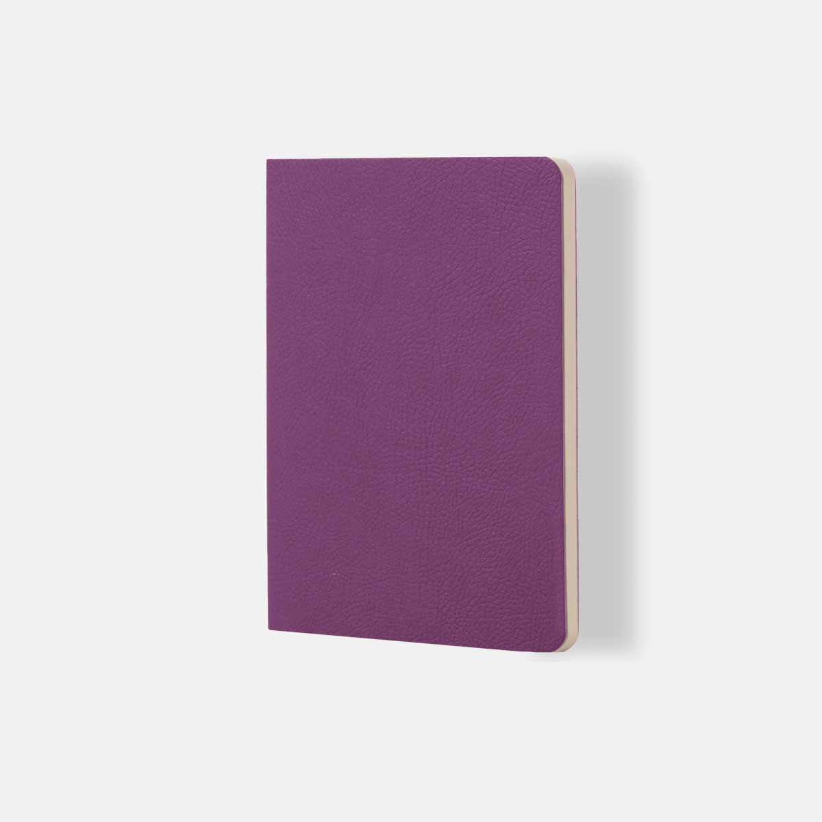 Quaderno A Righe - Ciak Mate