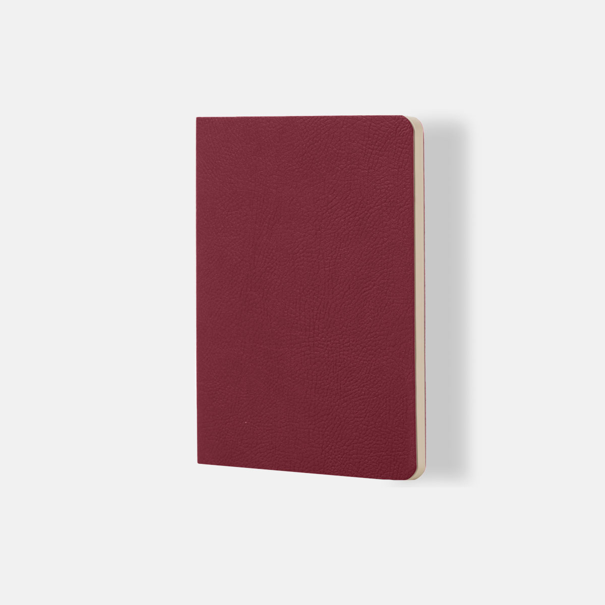 Quaderno a Puntini - Ciak Mate