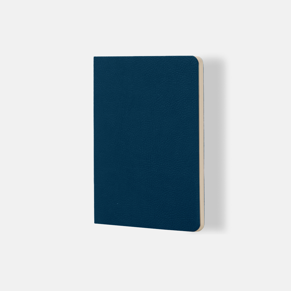Quaderno a Puntini - Ciak Mate