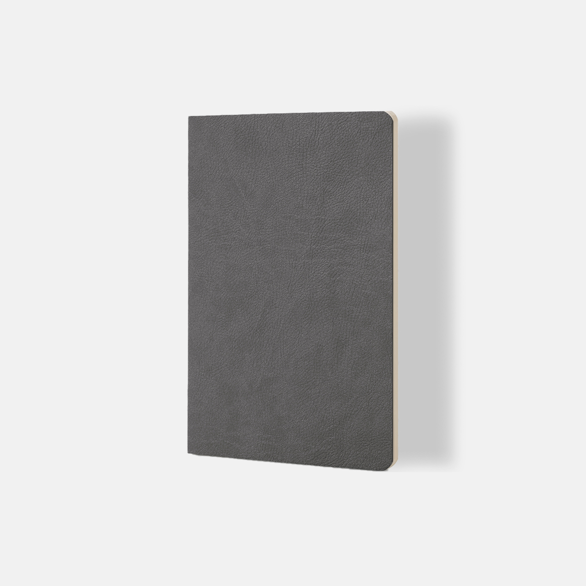 Quaderno a Puntini - Ciak Mate