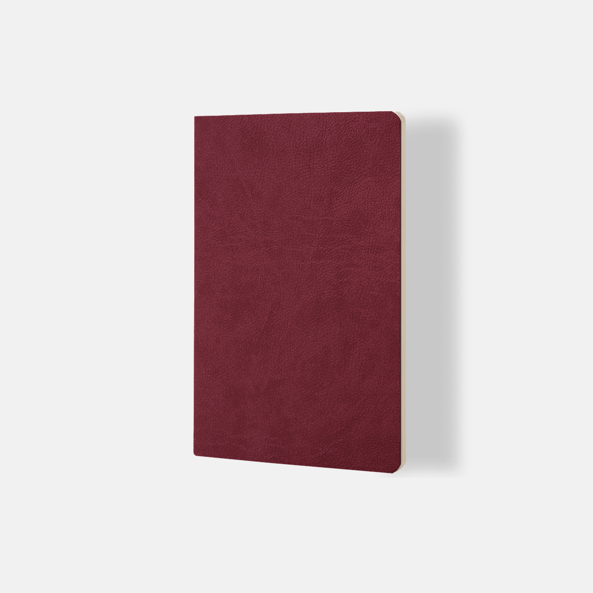 Quaderno a Puntini - Ciak Mate