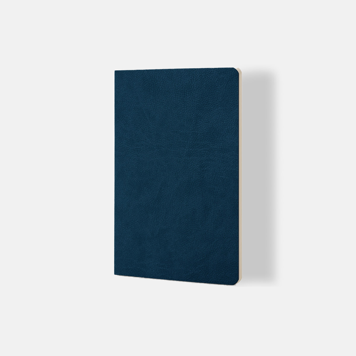 Quaderno a Puntini - Ciak Mate