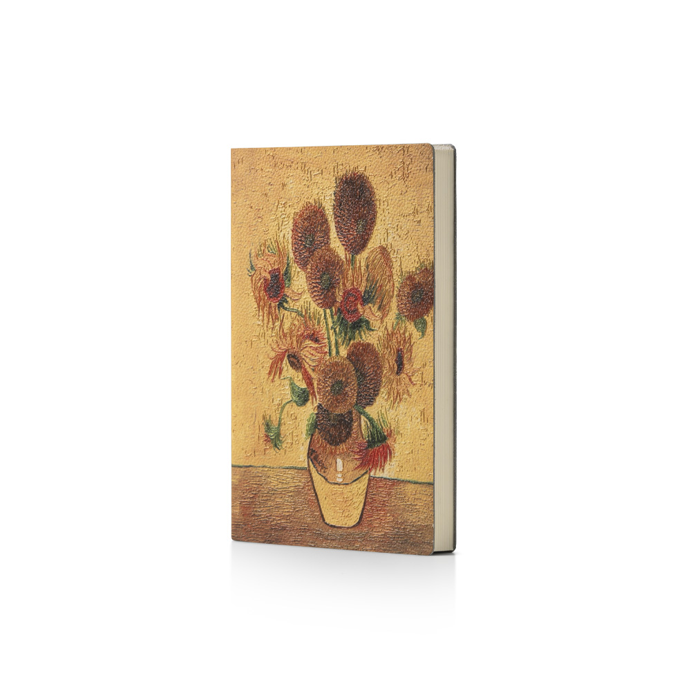 Kit 6 Diari Art Notes Soggetti Assortiti